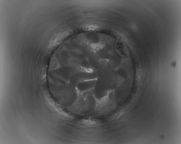 X0000116800545200912181320