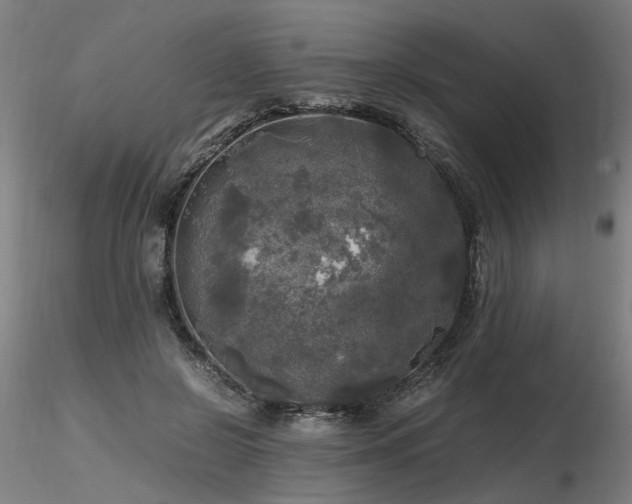 X0000116800550200912181320