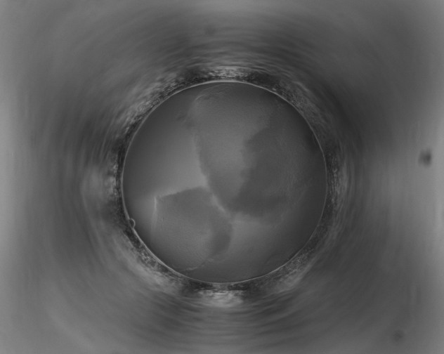 X0000116800553200912181320