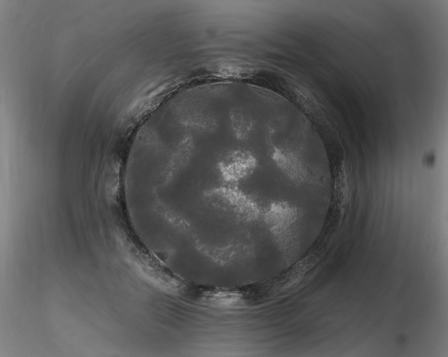 X0000116800554200912181320