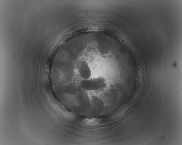 X0000116800557200912181320