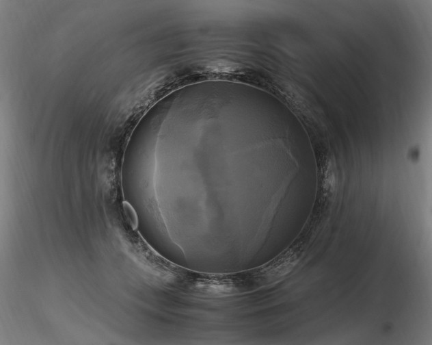 X0000116800559200912181320
