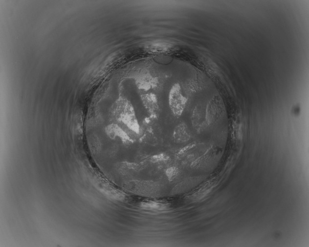 X0000116800561200912181320