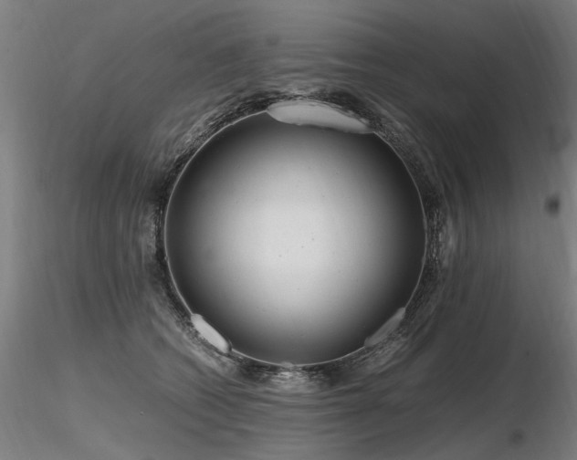 X0000116800562200912181320