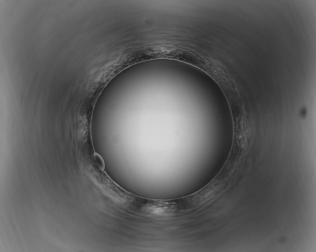X0000116800563200912181320