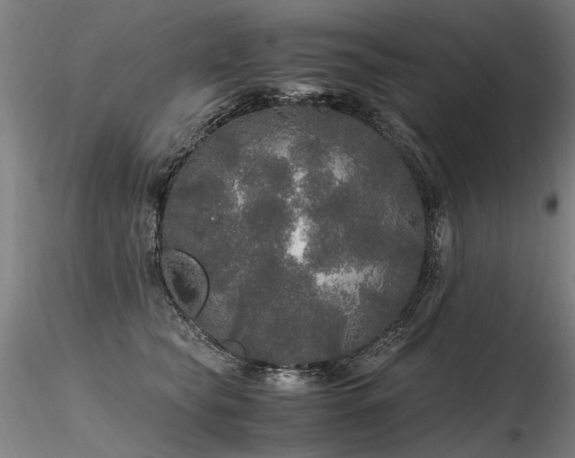 X0000116800565200912181320