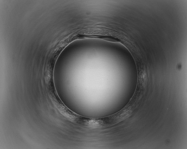X0000116800566200912181320