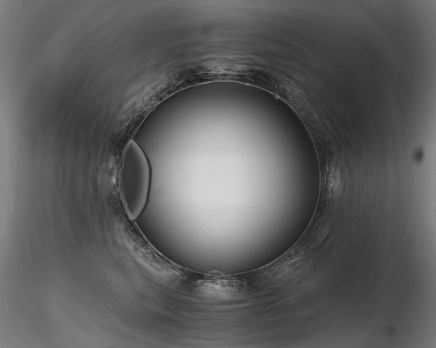 X0000116800567200912181320