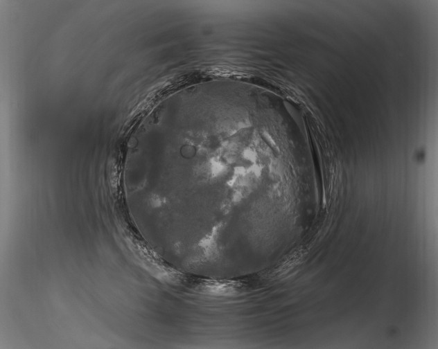X0000116800569200912181320