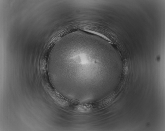 X0000116800571200912181320