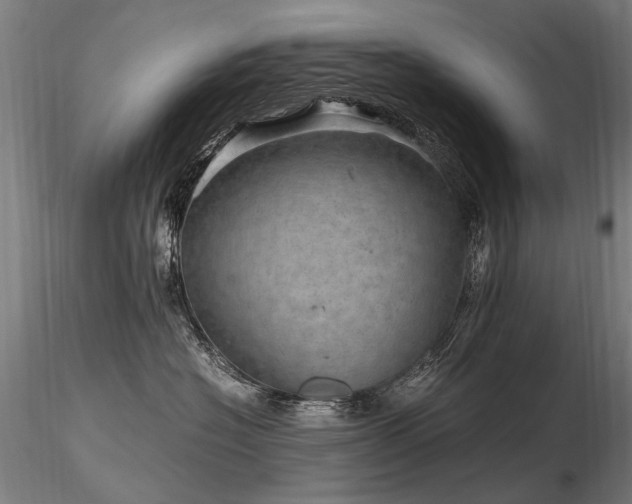 X0000116800574200912181320