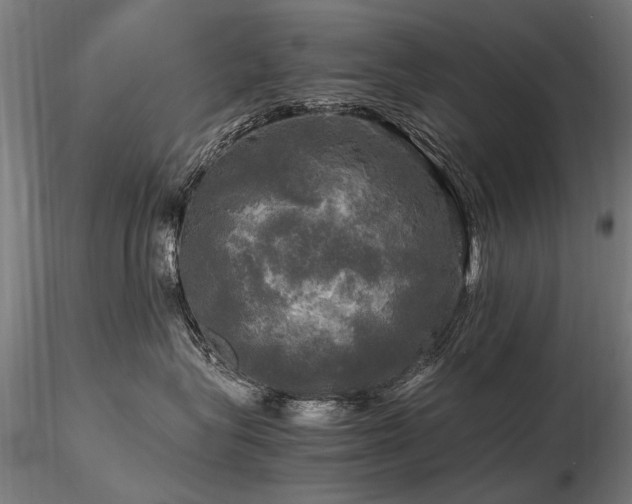 X0000116800575200912181320