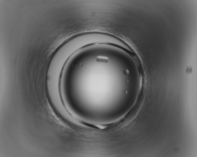 X0000116800577200912181319