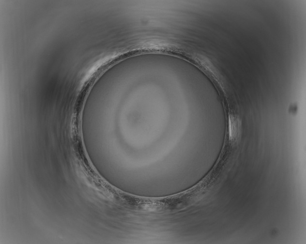 X0000116800579200912181319