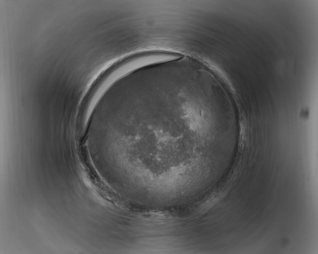 X0000116800580200912181319