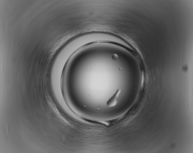 X0000116800581200912181319