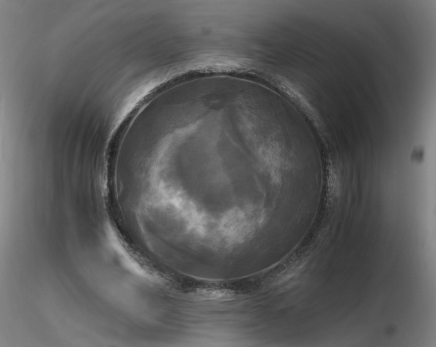 X0000116800582200912181319