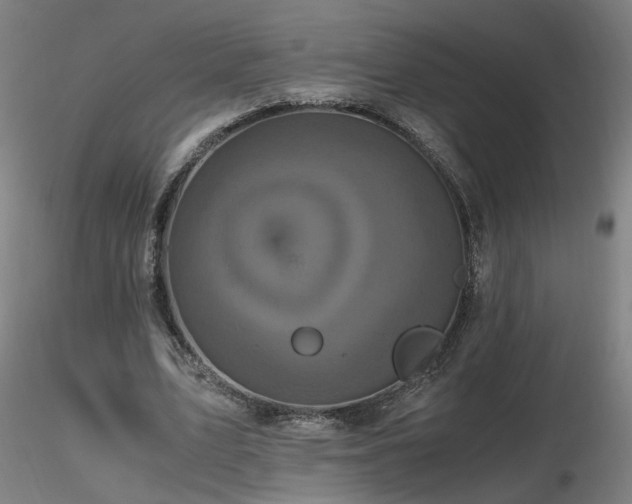 X0000116800583200912181319