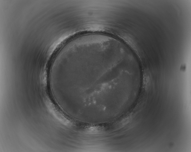 X0000116800584200912181319