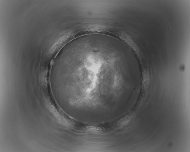 X0000116800585200912181319