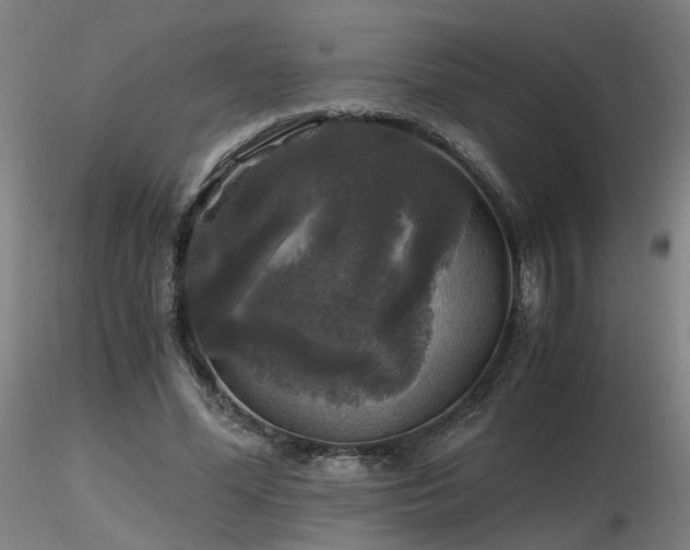 X0000116800588200912181319