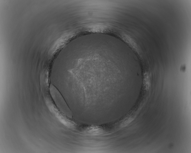 X0000116800589200912181319