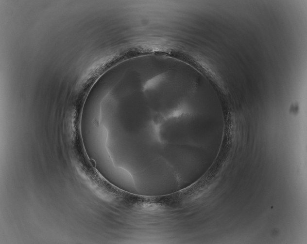 X0000116800590200912181319