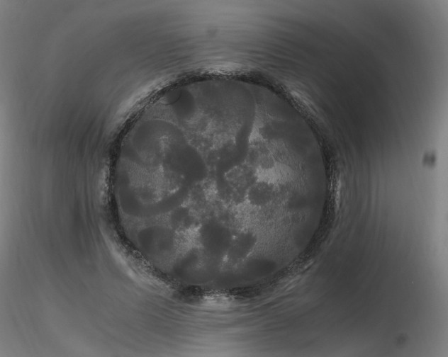 X0000116800591200912181319