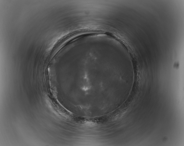 X0000116800592200912181319
