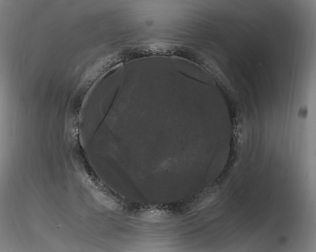 X0000116800593200912181319