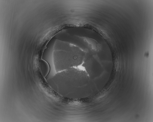 X0000116800594200912181319