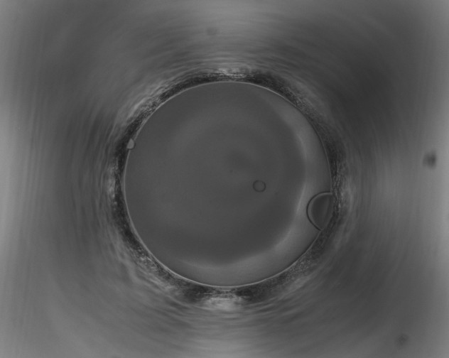 X0000116800595200912181319