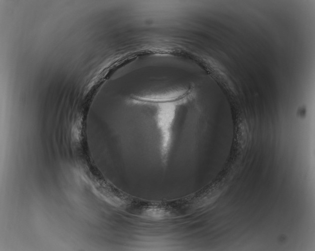 X0000116800596200912181319
