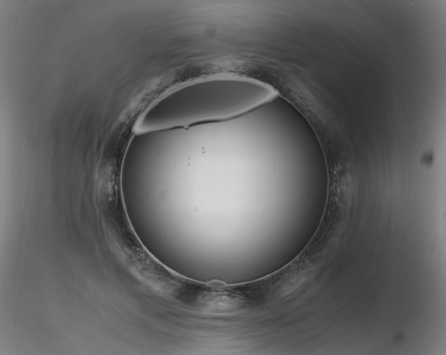 X0000116800597200912181319