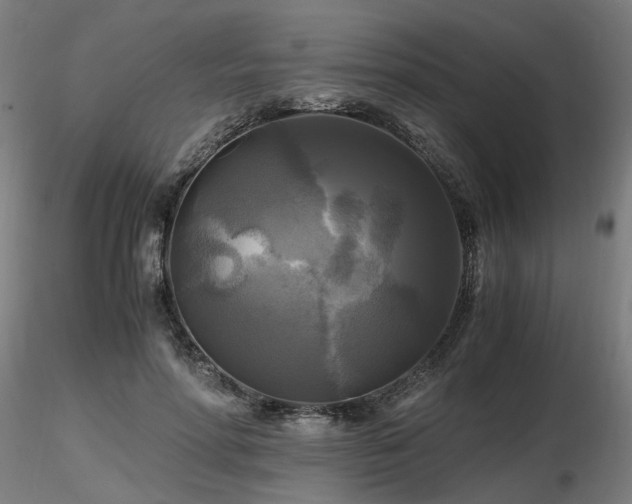 X0000116800598200912181319