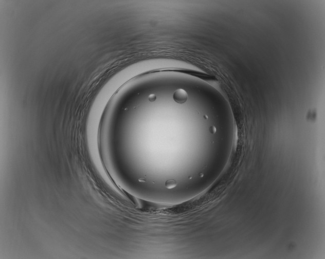 X0000116800599200912181319