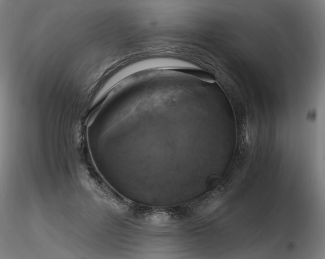 X0000116800600200912181319