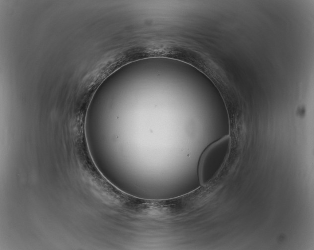 X0000116800601200912181319