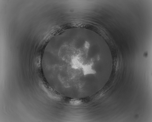 X0000116800602200912181319