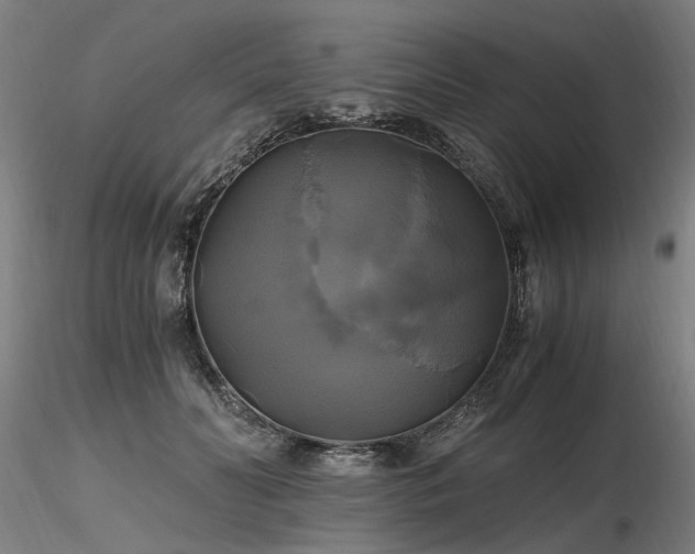 X0000116800606200912181319
