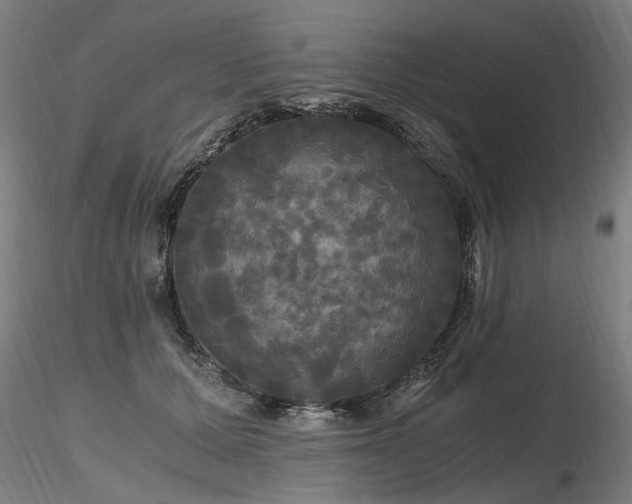 X0000116800607200912181319