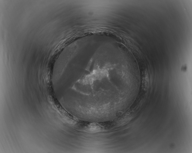 X0000116800608200912181319