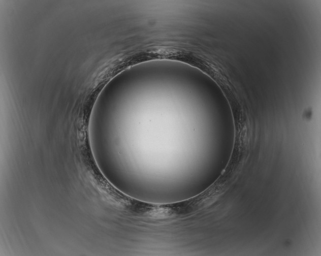 X0000116800609200912181319