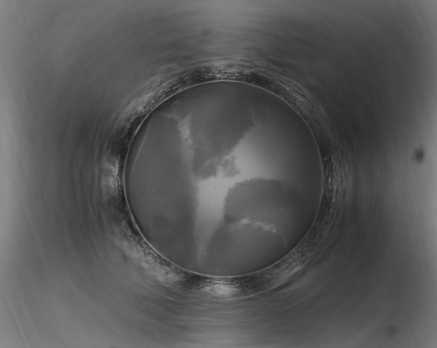 X0000116800610200912181319