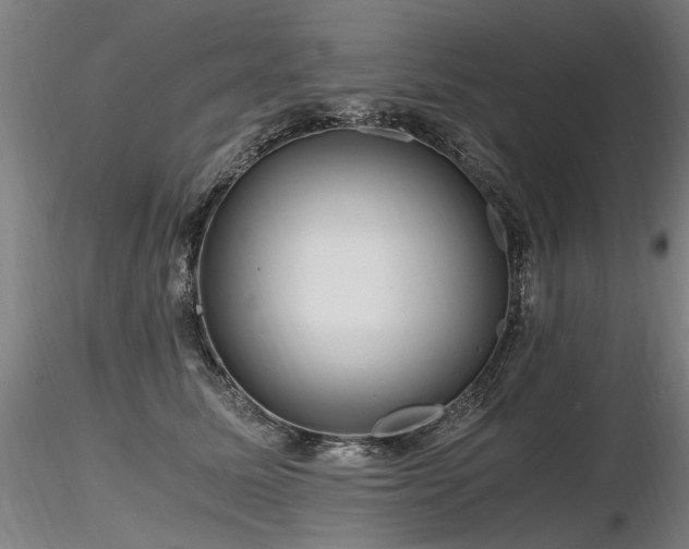 X0000116800611200912181319