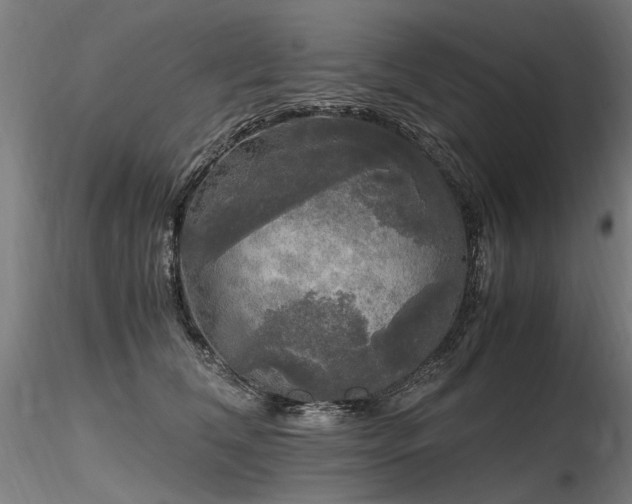 X0000116800612200912181319