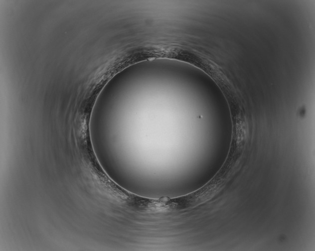 X0000116800613200912181319