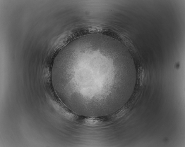 X0000116800614200912181319