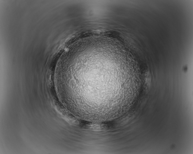X0000116800615200912181319