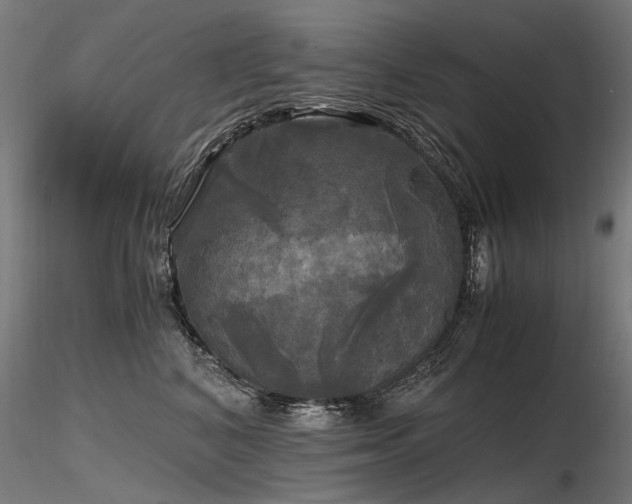 X0000116800616200912181319